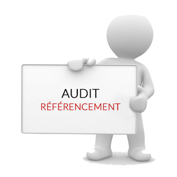 audit referencement.png